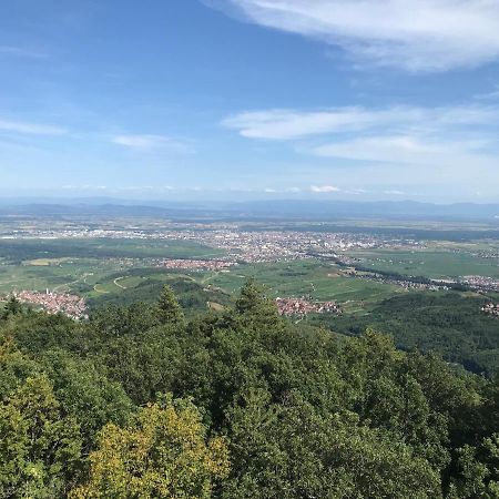 Le Belvedere - Gites Marck Turckheim Kültér fotó